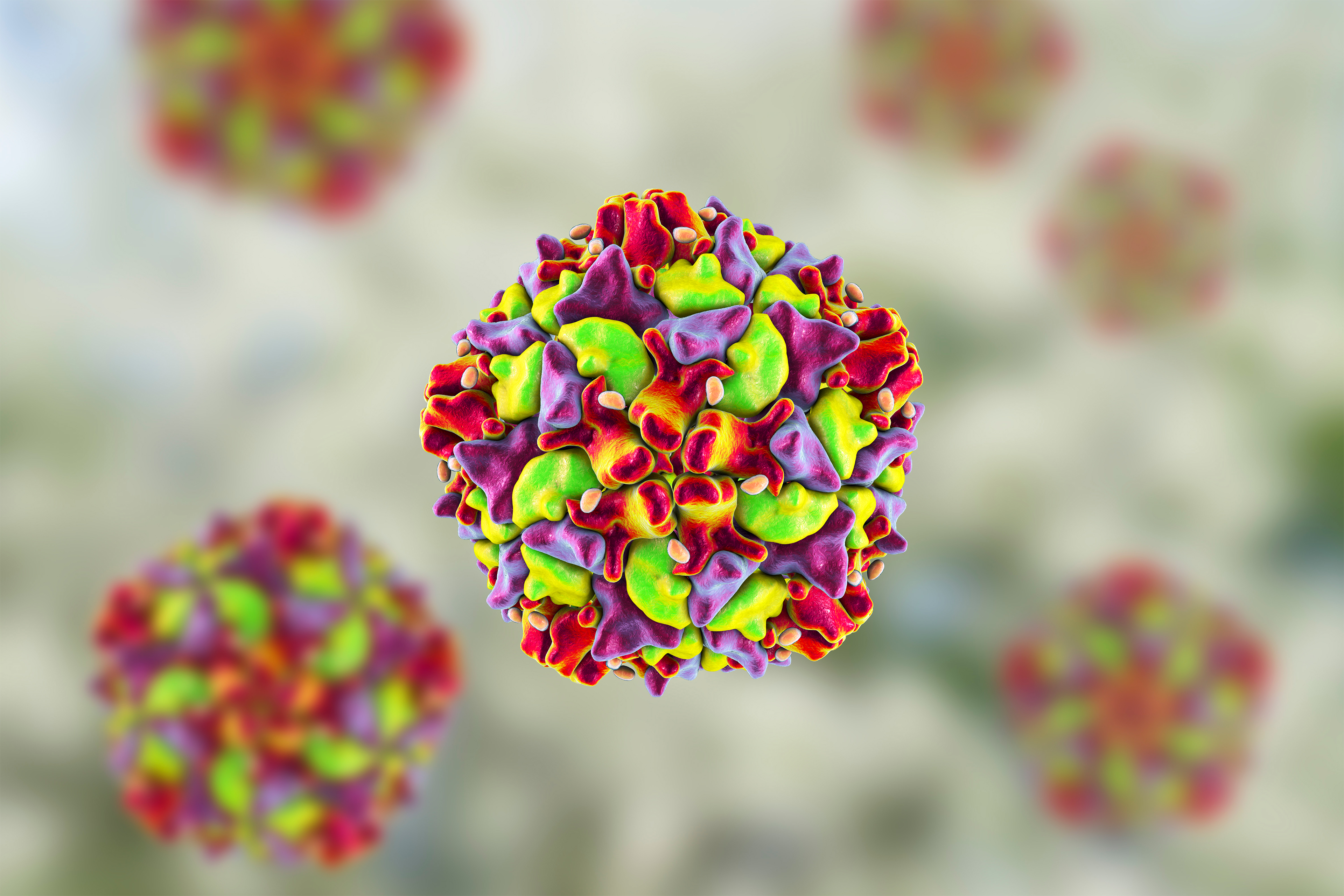 A 3D graphic shows models of the polio virus against a pale background.
