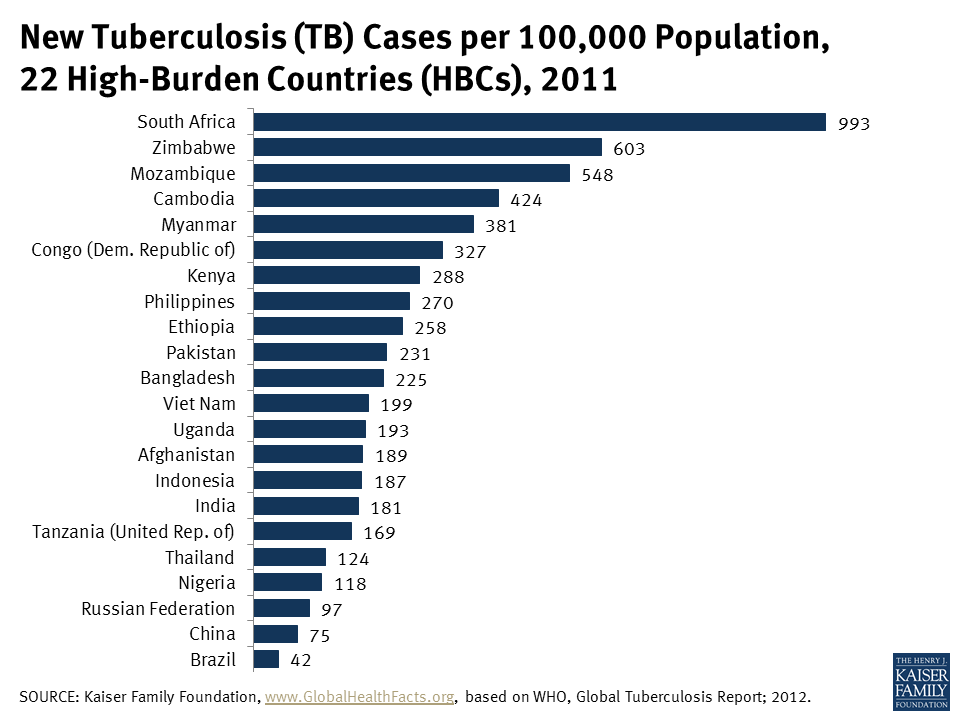 New Tuberculosis (TB) Cases per 100,000 Population, 22 HighBurden