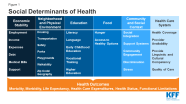 Examine Topics Of Contemporary Importance In Health And Social Care