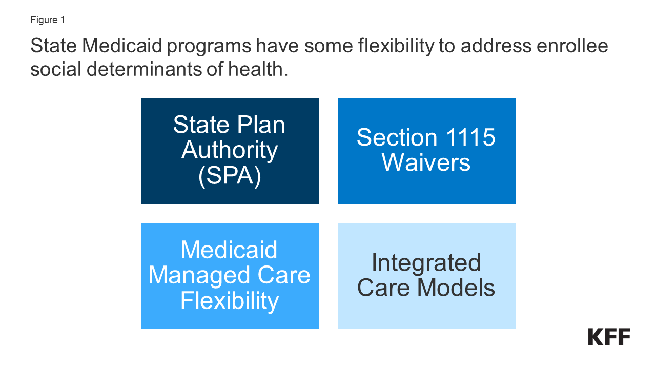 Medicaid Authorities and Options to Address Social Determinants of ...