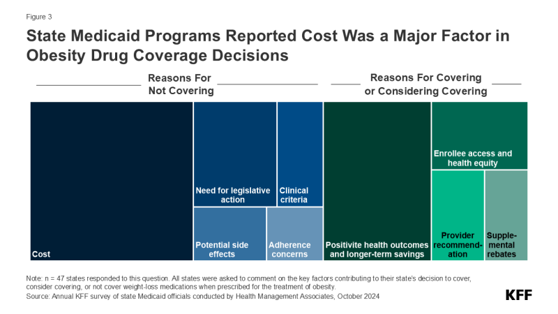 Figure 3 is titled "State Medicaid Programs Reported Cost Was a Major Factor in Obesity Drug Coverage Decisions" and divides different parts of a rectangle into Reasons for Covering and Reasons for Not Covering. 