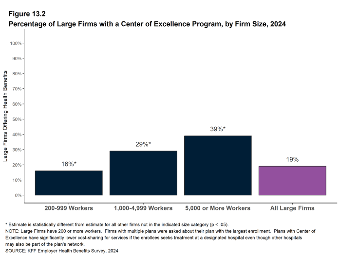 Figure 13.2: Percentage of Large Firms With a Center of Excellence Program, by Firm Size, 2024