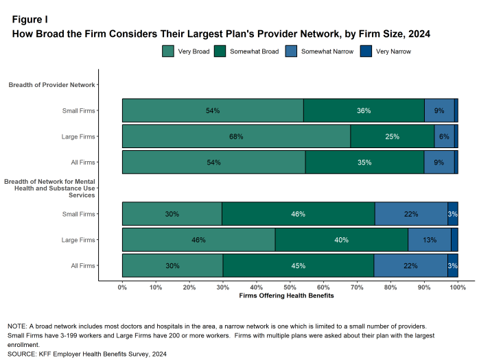 Figure I: How Broad the Firm Considers Their Largest Plan's Provider Network, by Firm Size, 2024