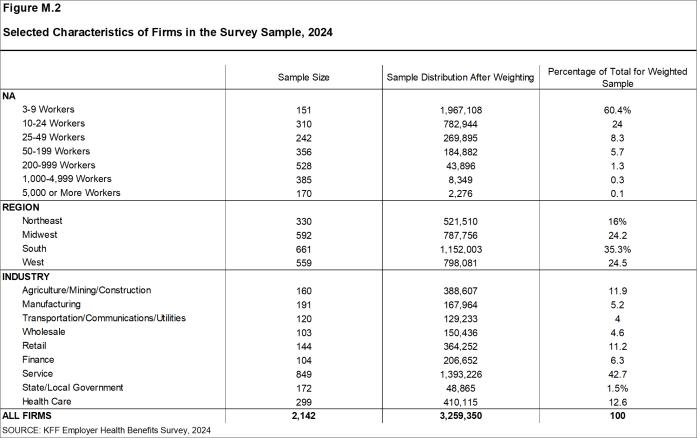 Figure M.2: Selected Characteristics of Firms in the Survey Sample, 2024