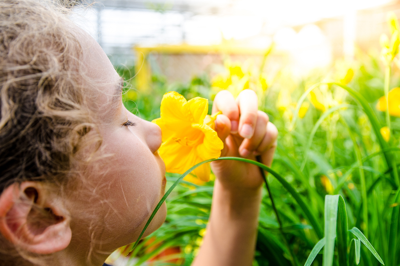 A child smells a flower