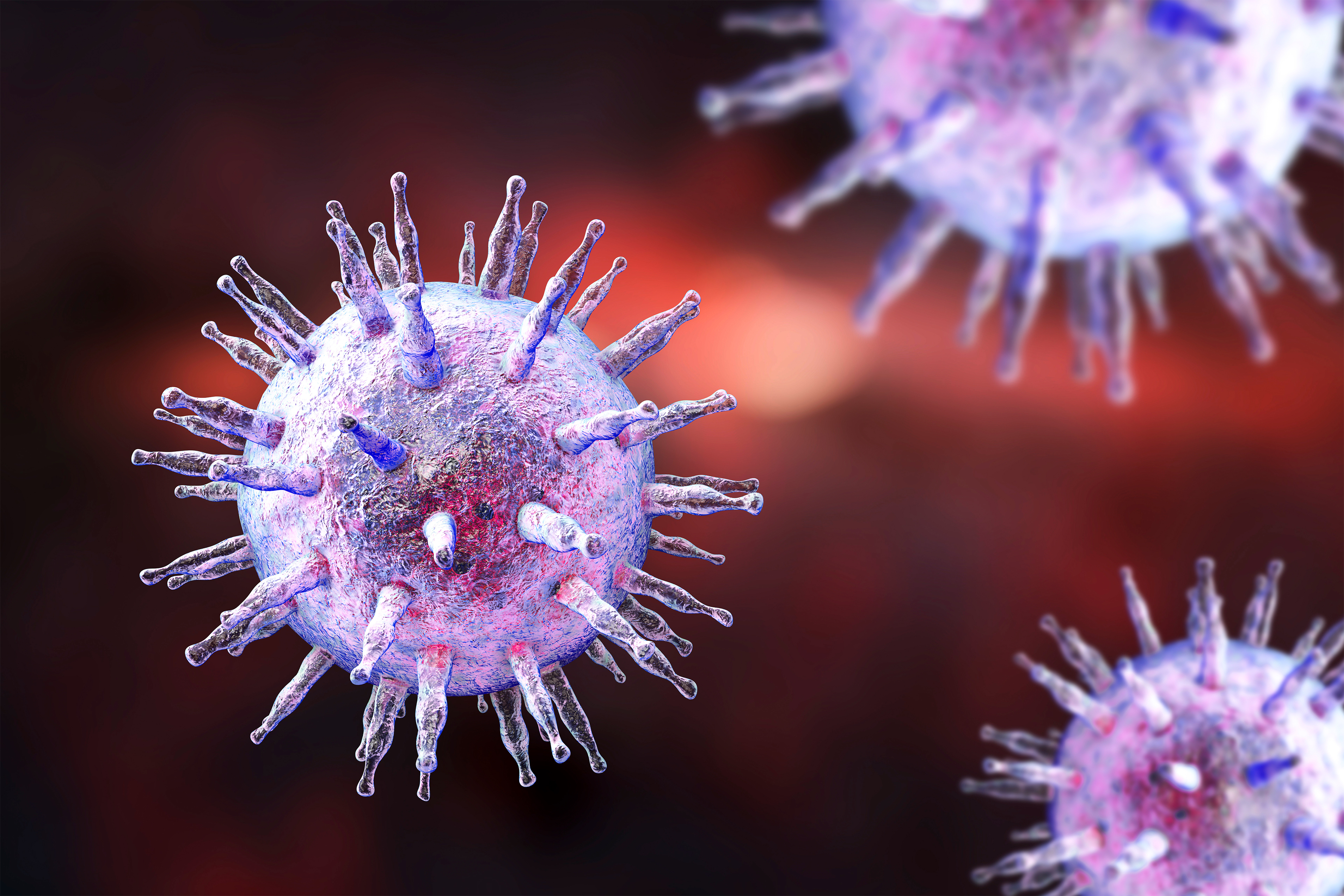 An illustration shows 3D renderings of the Epstein-Barr virus.